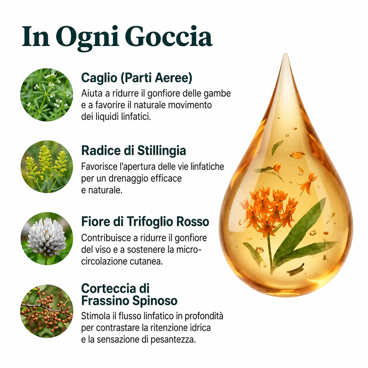 Supporto naturale per il benessere linfatico